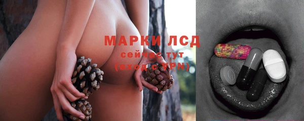 шишки Алзамай